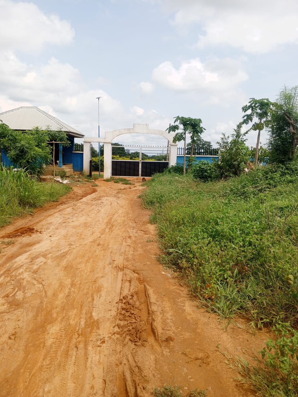 WhatsApp Image 2025-06-13 at 6.48.33 PM